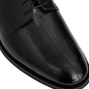 Bruno Magli Dress Shoes^Asti Traditional Dress Oxford Black Eel