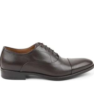 Bruno Magli Dress Shoes^Locascio Cap-Toe Oxford Dark Brown