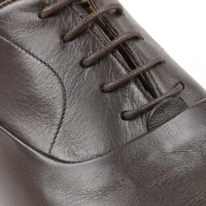 Bruno Magli Dress Shoes^Locascio Cap-Toe Oxford Dark Brown